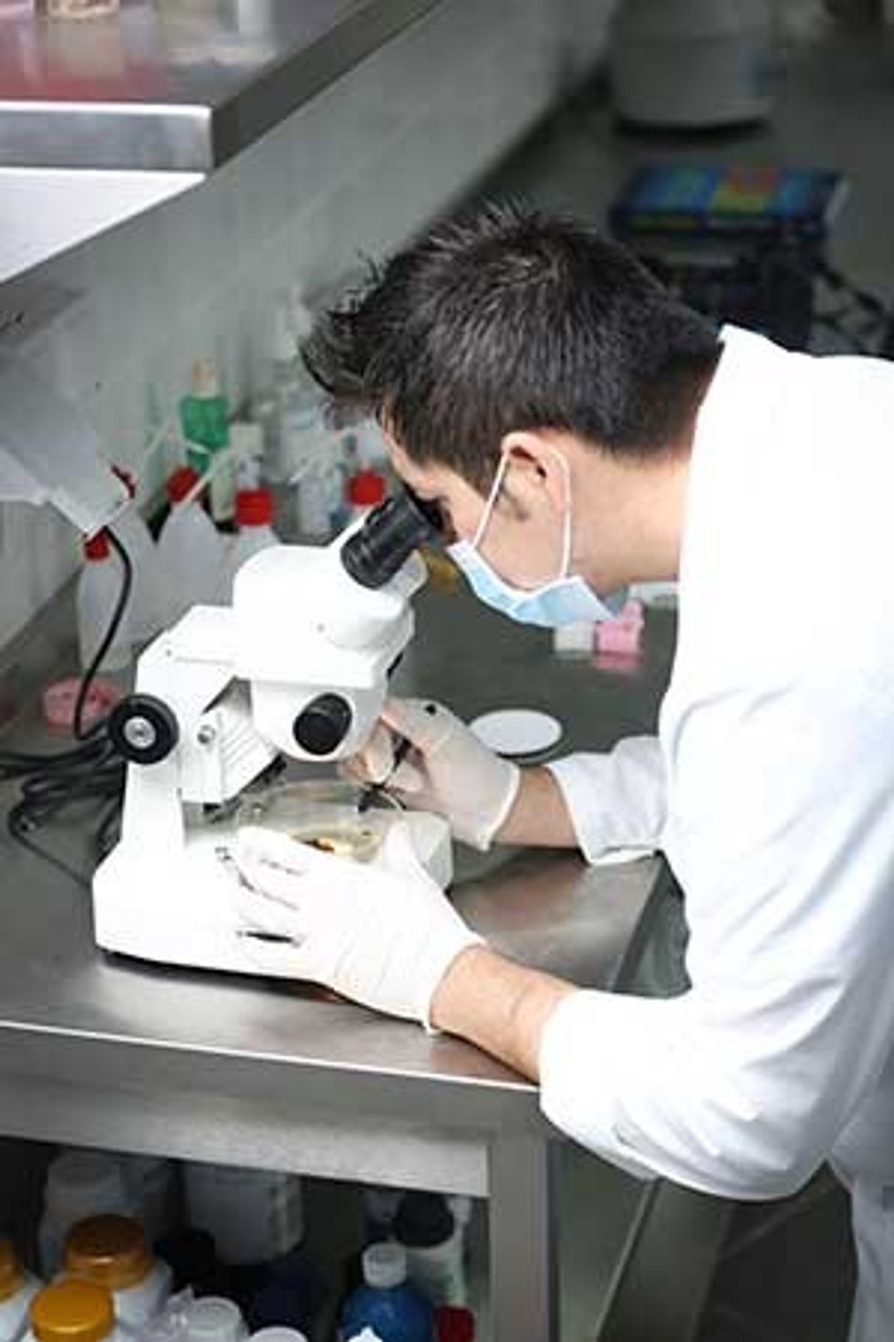 clear reef scientist vet microscope examination