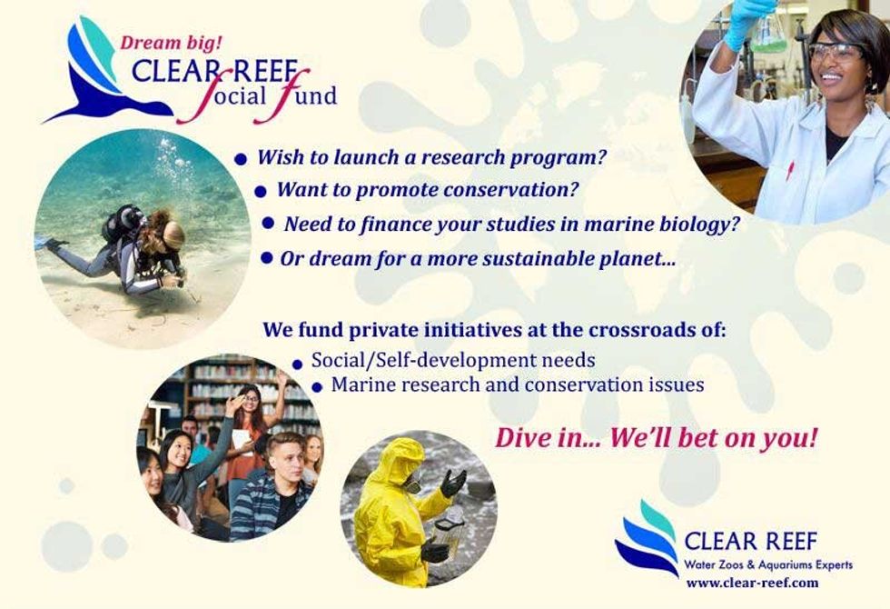 clear reef social fund flyer