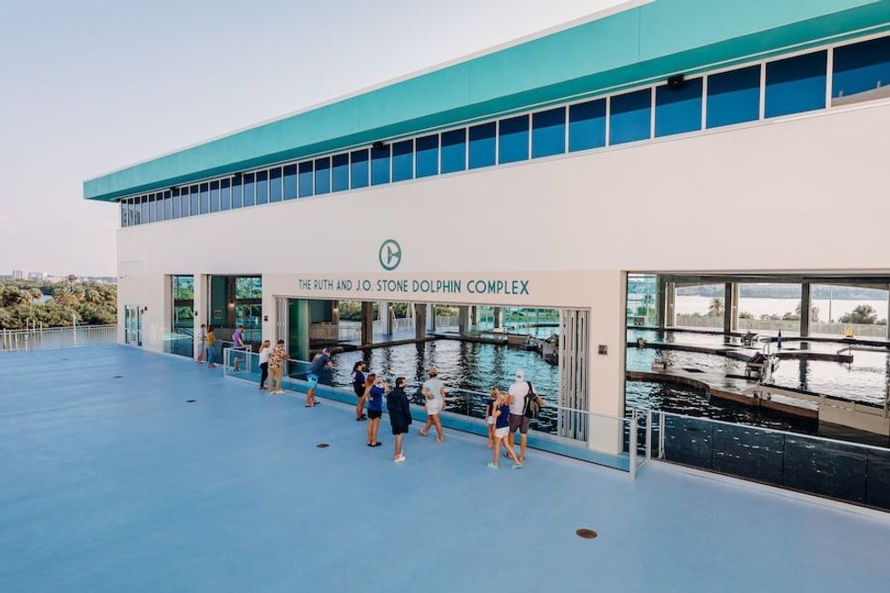 Clearwater Marine Aquarium PGAV Destinations