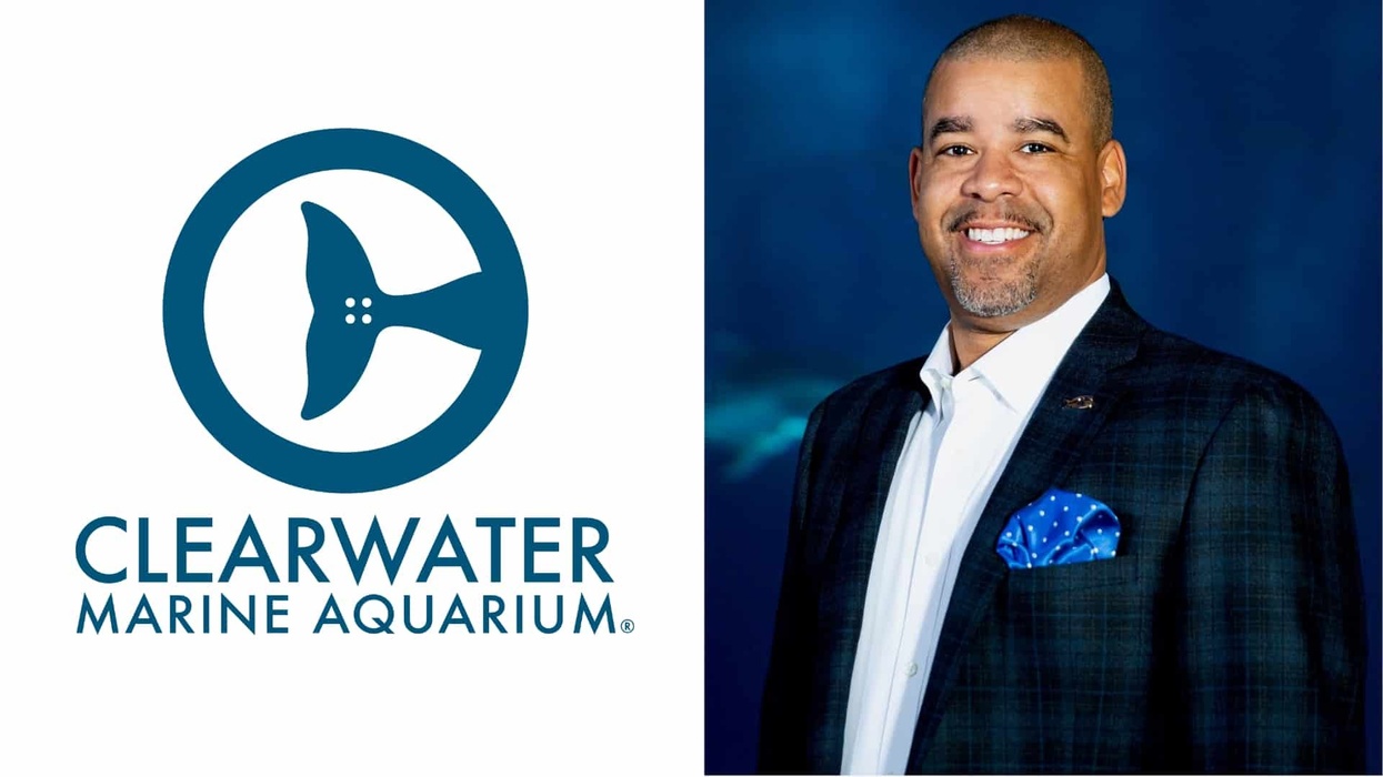 clearwater marine aquarium