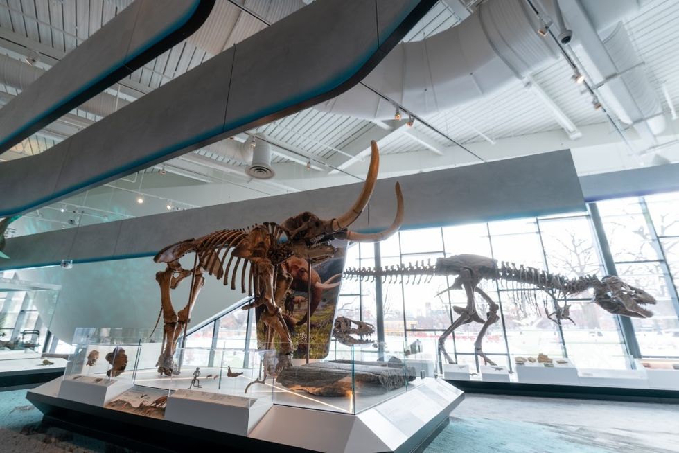 Cleveland Museum of Natural History gallery