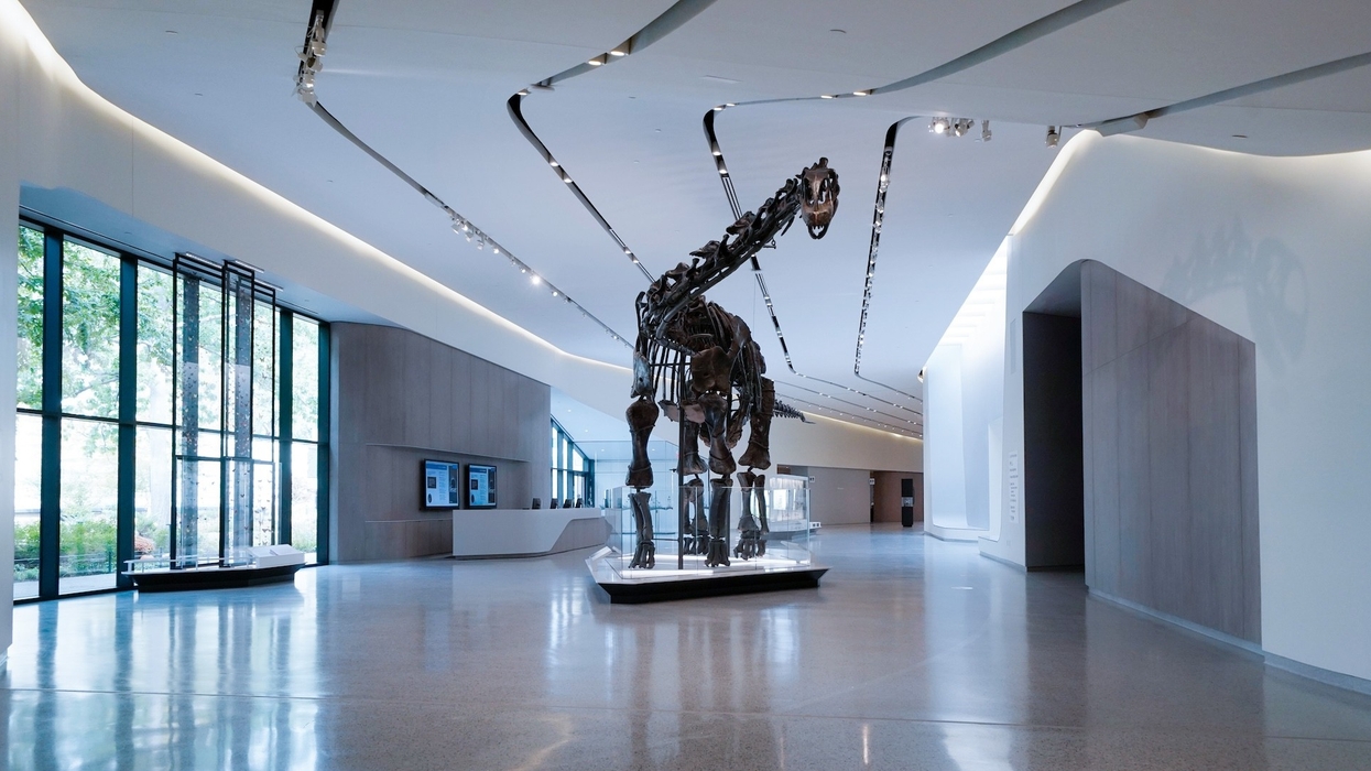 cleveland museum of natural history visitor hall