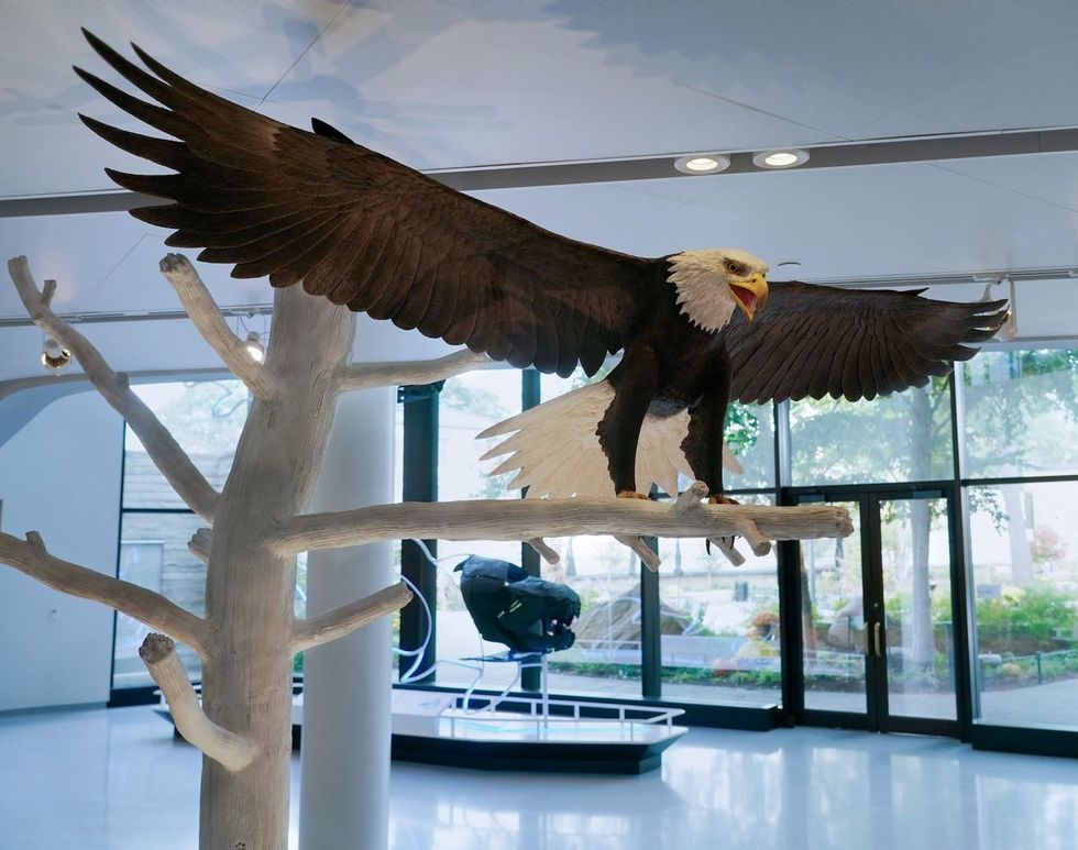 cleveland museum of natural history visitor hall