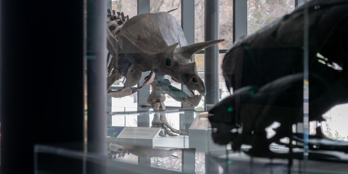 Cleveland Museum of Natural History