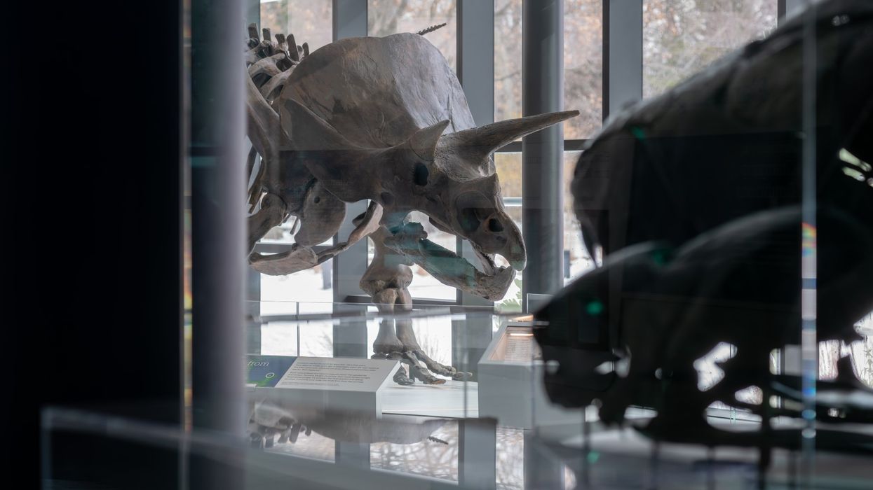 Cleveland Museum of Natural History