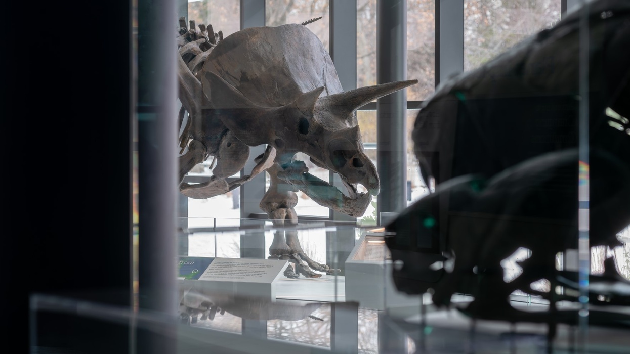 Cleveland Museum of Natural History