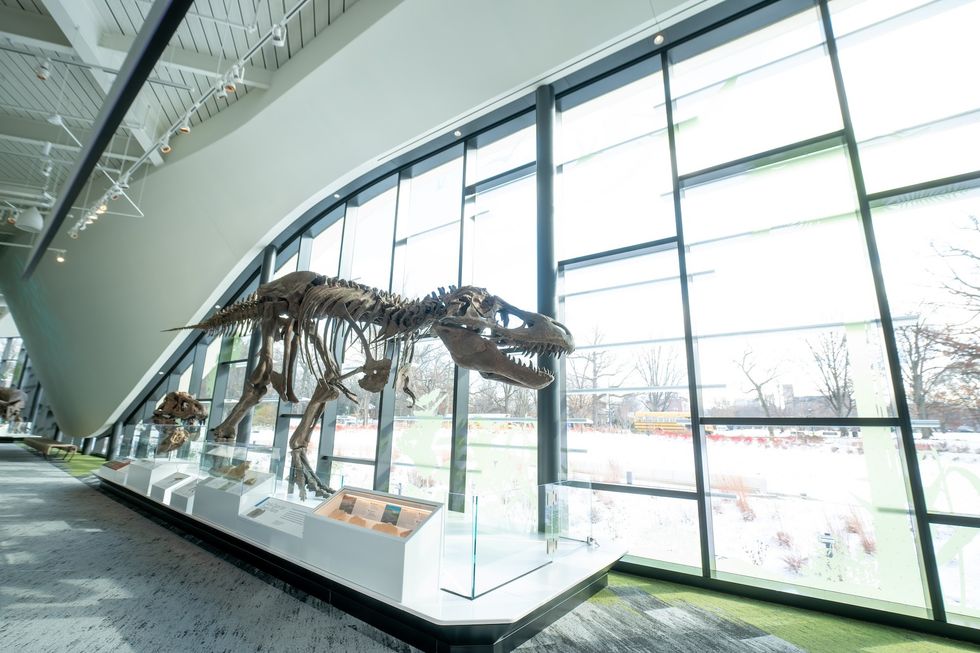 cleveland museum of natural history