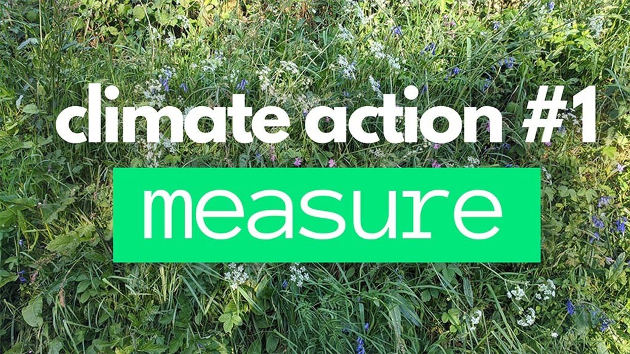climate action #1 measure - greenloop blooloop