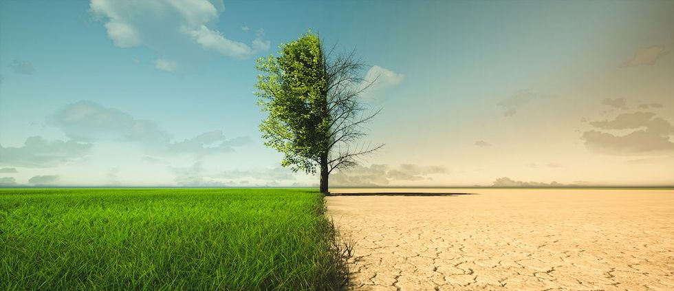 Climate change from drought to green growth