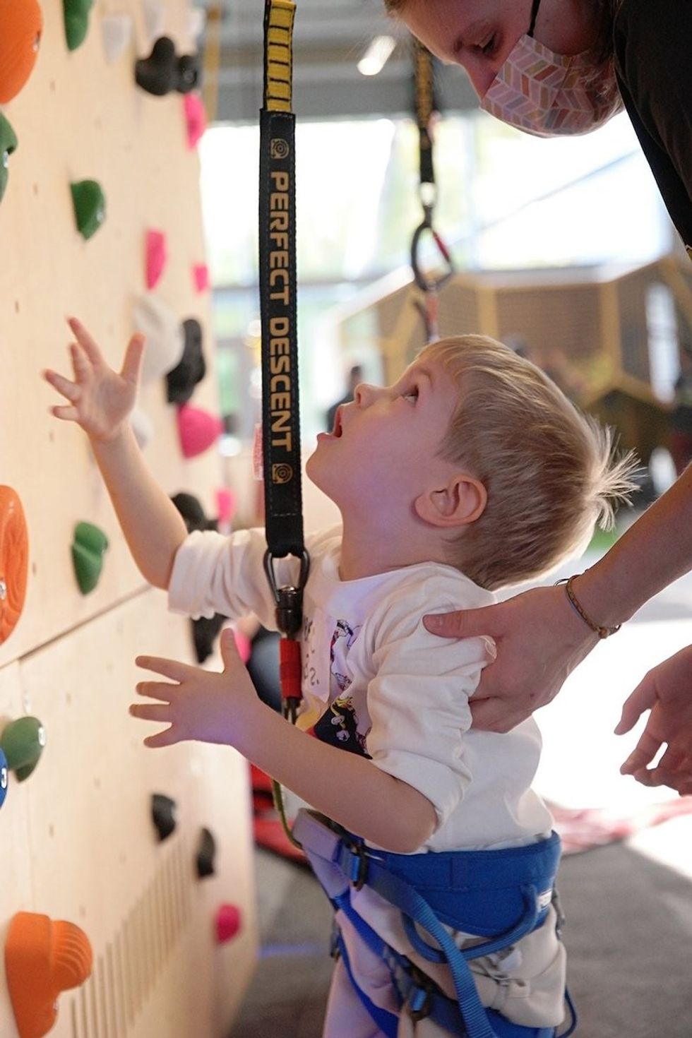 Climb-Academy-Walltopia