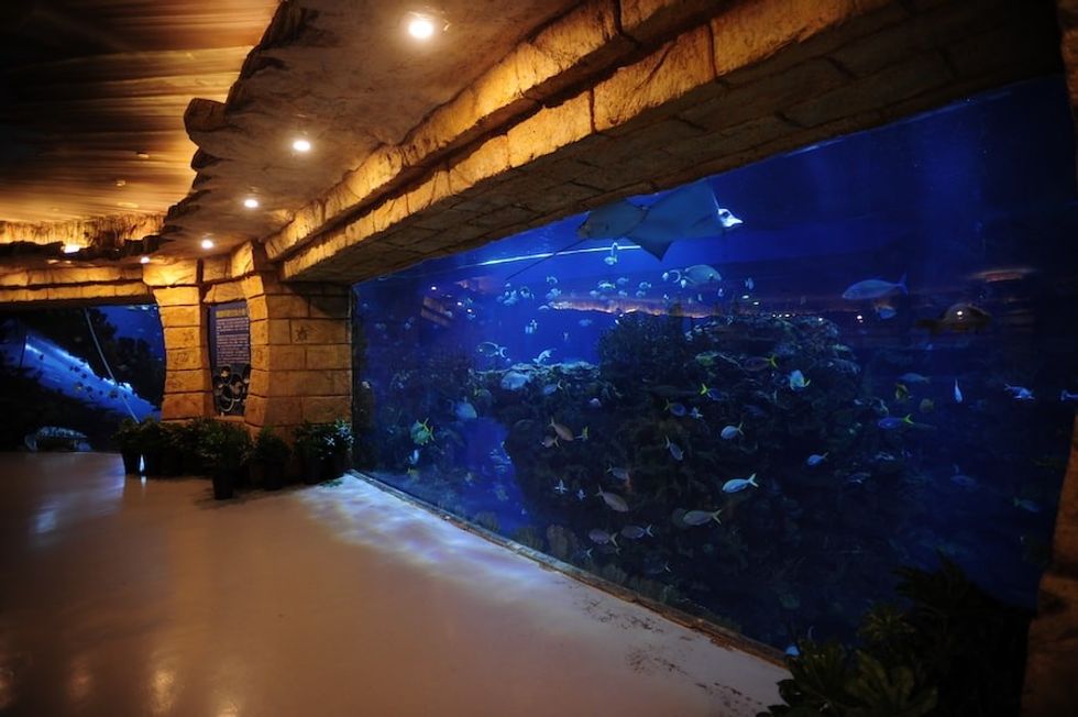 Cloward H2O Beijing Aquarium