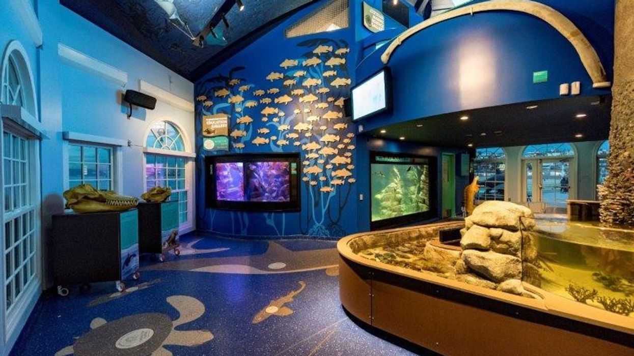 Cloward H2O roundhouse