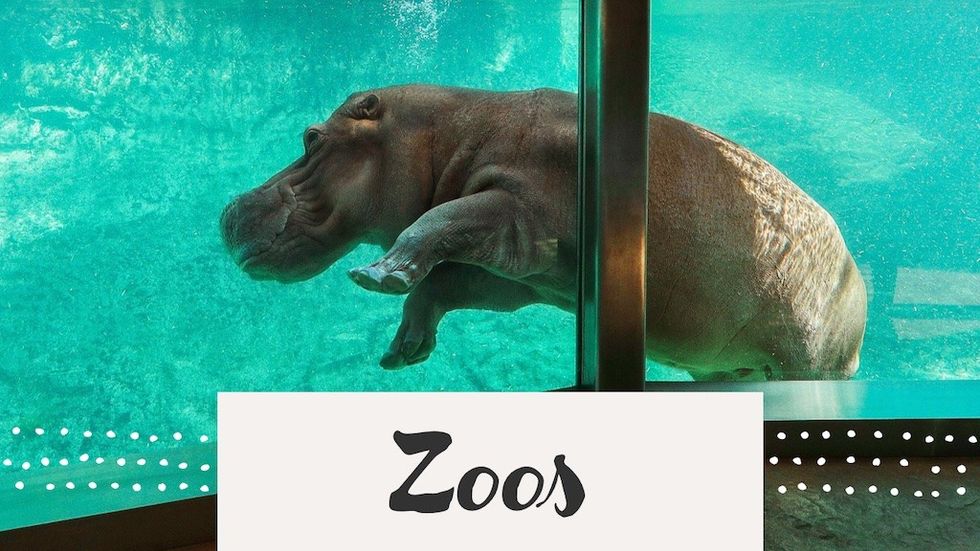 Cloward H2O Zoos