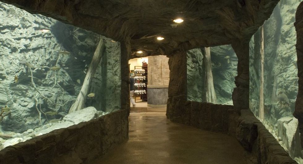 Cloward Pyramid Aquarium Cabela’s and Bass Pro