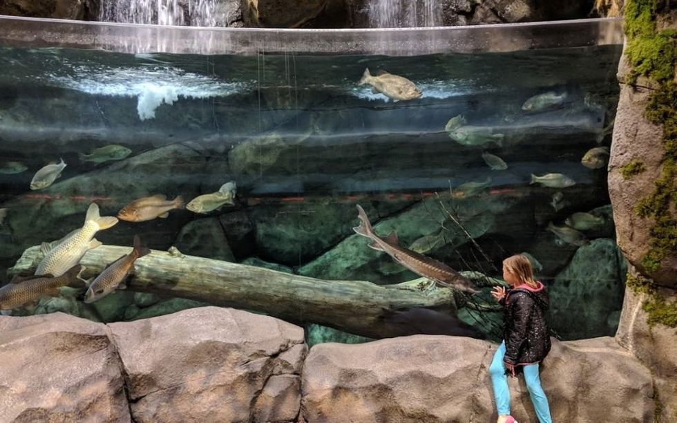 Cloward Tank Cabela’s and Bass Pro