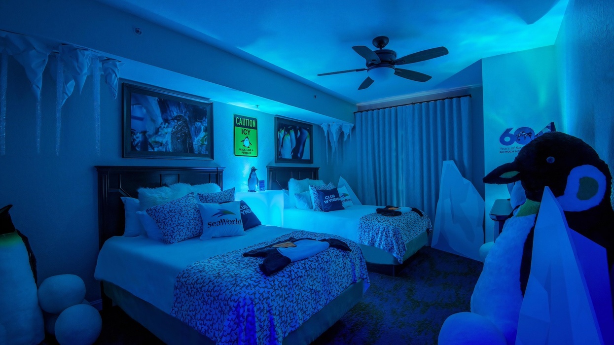 club wyndham seaworld suite