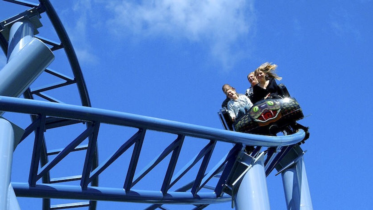 Cobra Paultons Park