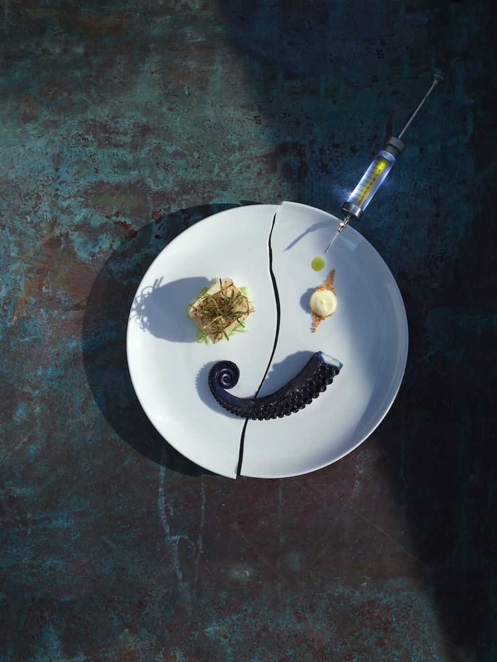 Cod-and-Octopus-The-Monarch-Theatre