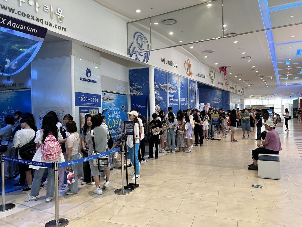 COEX Aquarium - Animal Crossing Partnership
