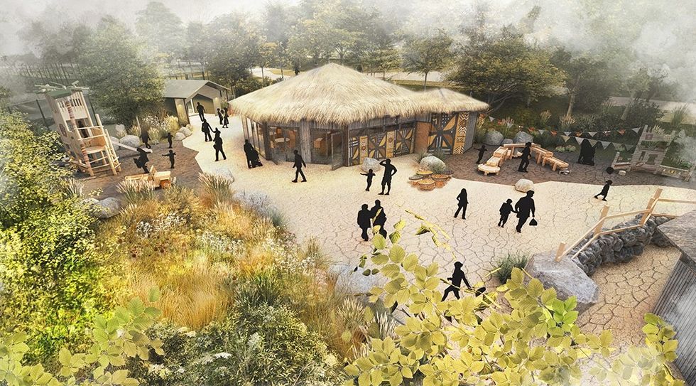 colchester zoo lion habitat