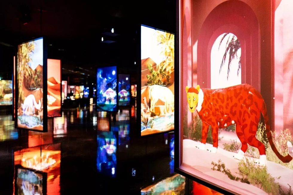 Colorful animal art panels reflected on a glossy floor at Arte Museum Dubai