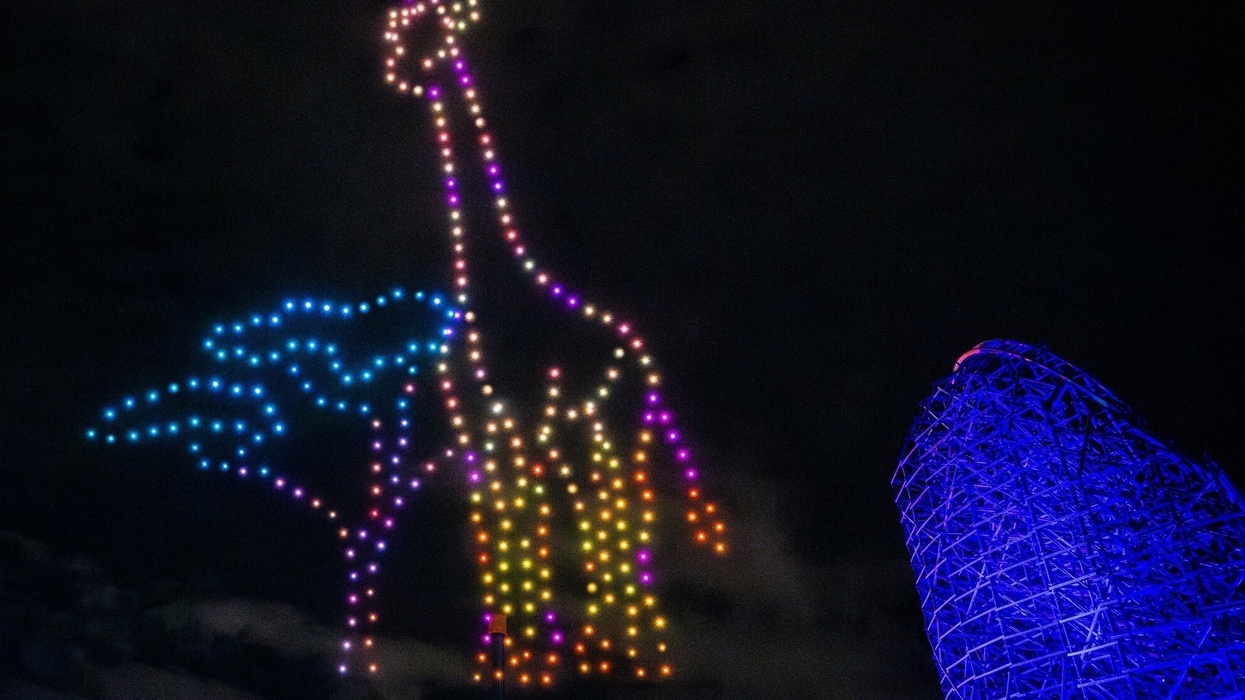 Colorful drone light show at Busch Gardens Tampa Bay forming a giraffe and tree against the night sky.