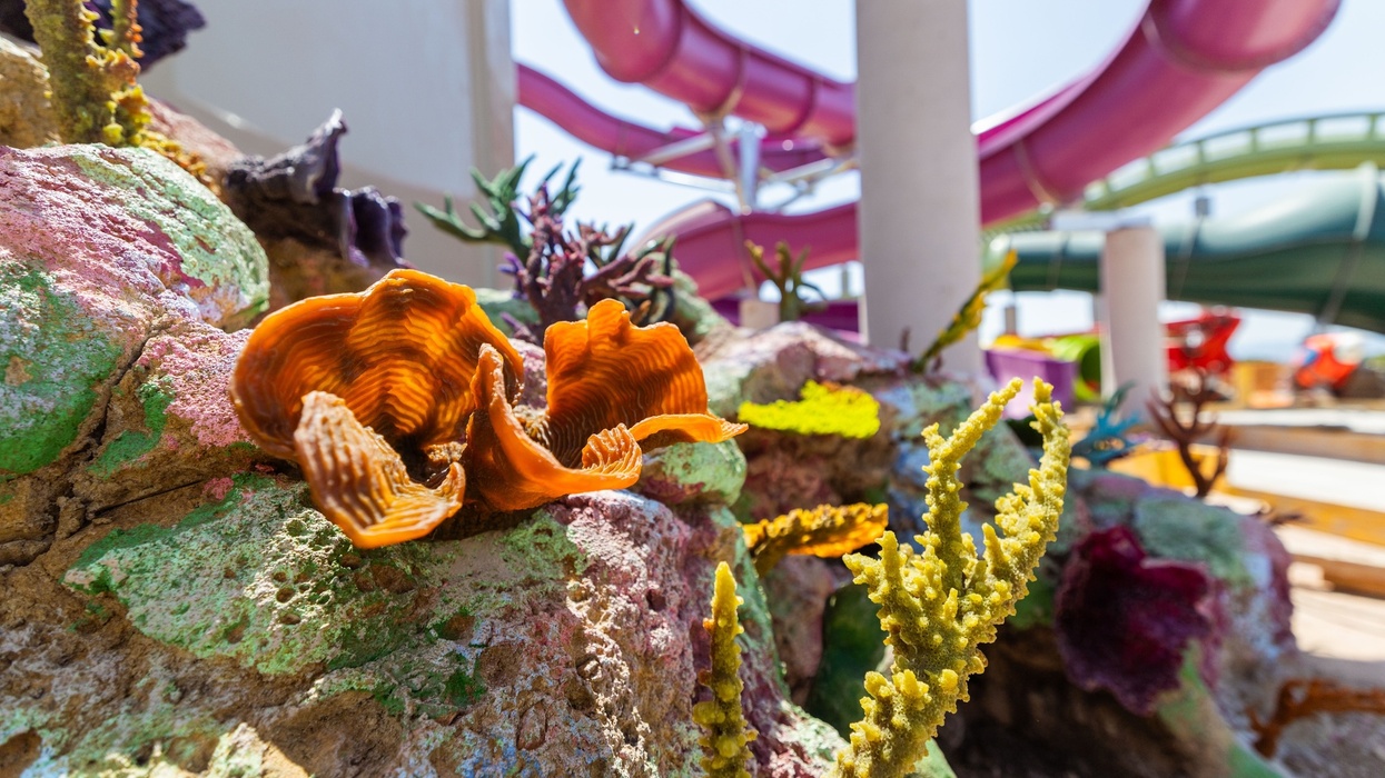 Colorful fake coral and water slides in a sunny outdoor setting at PortAventura World