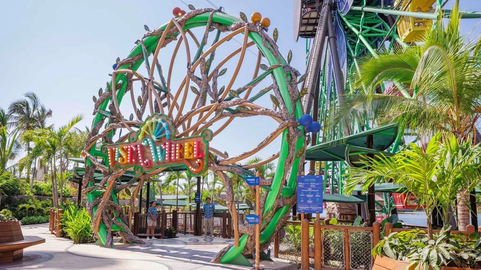 Colorful ferris wheel entrance with tropical plants and seating area.