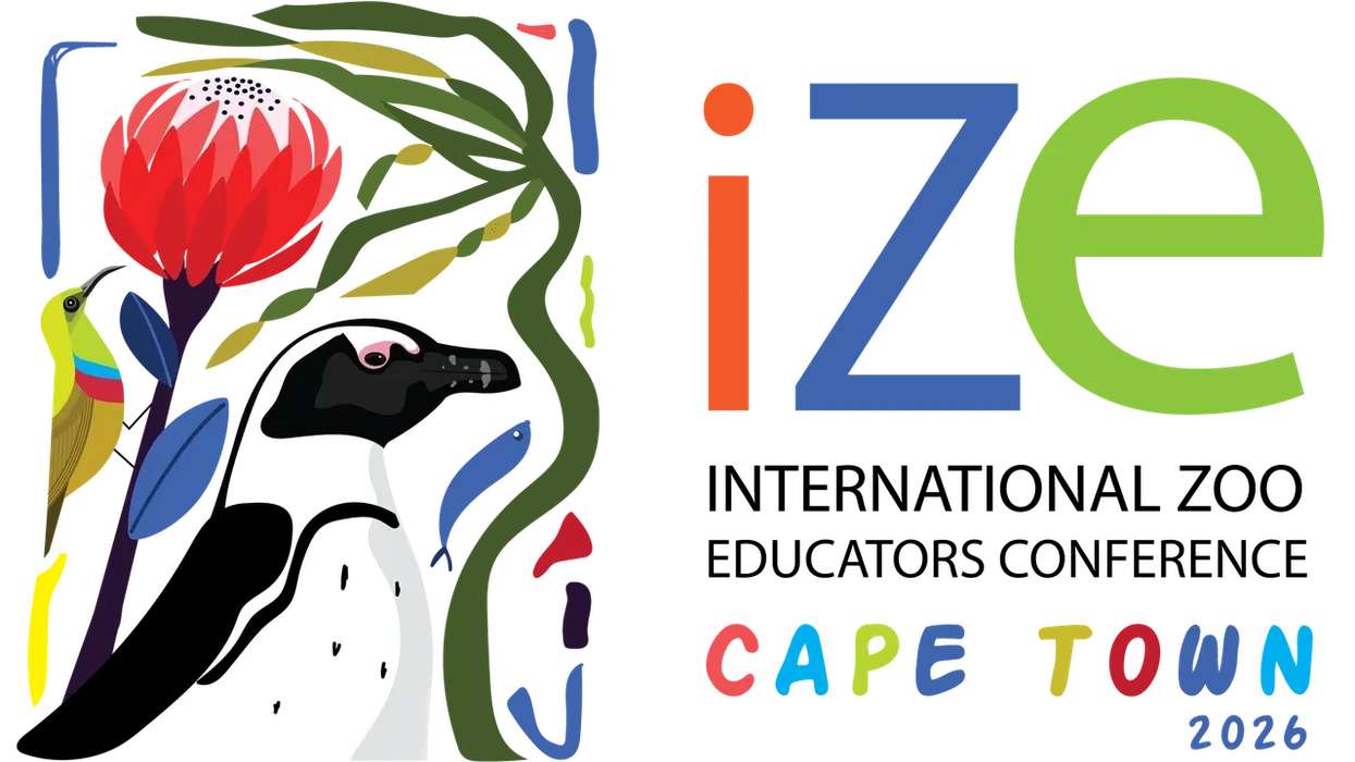 Colorful "IZE Conference 2026 in Cape Town" design with penguin, flower, and small bird.