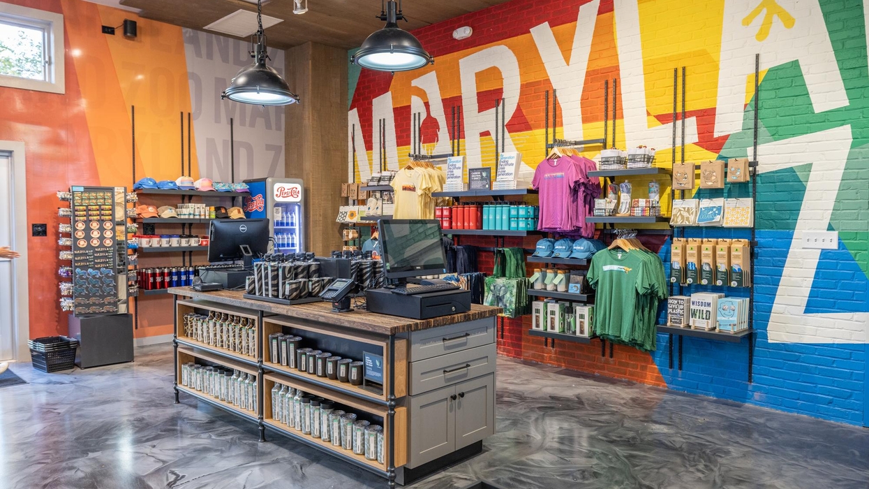 Colorful store interior with merchandise, a checkout counter, and a vibrant mural backdrop.