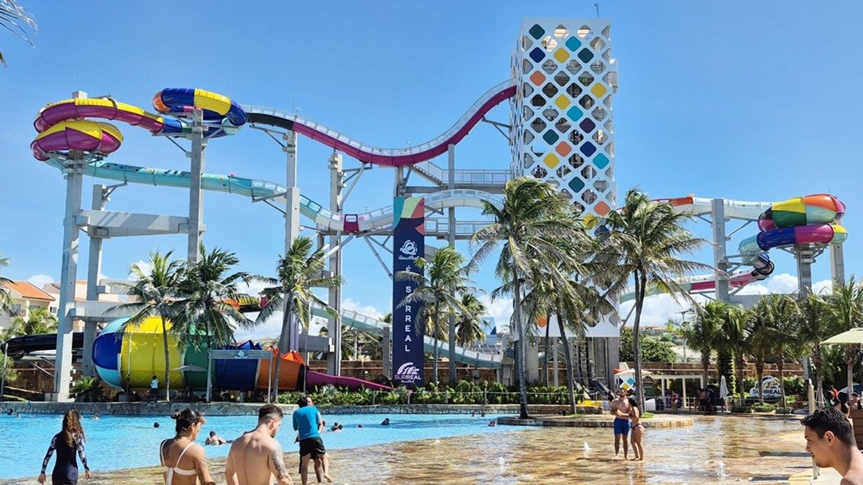 Colorful water park with winding slides, palm trees, and people enjoying a sunny day in the pool.