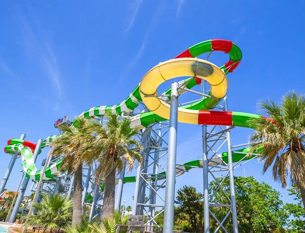 Colorful water slide surrounded by palm trees under a clear blue sky.