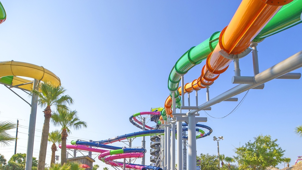 Colorful water slides with palm trees under a clear blue sky.
