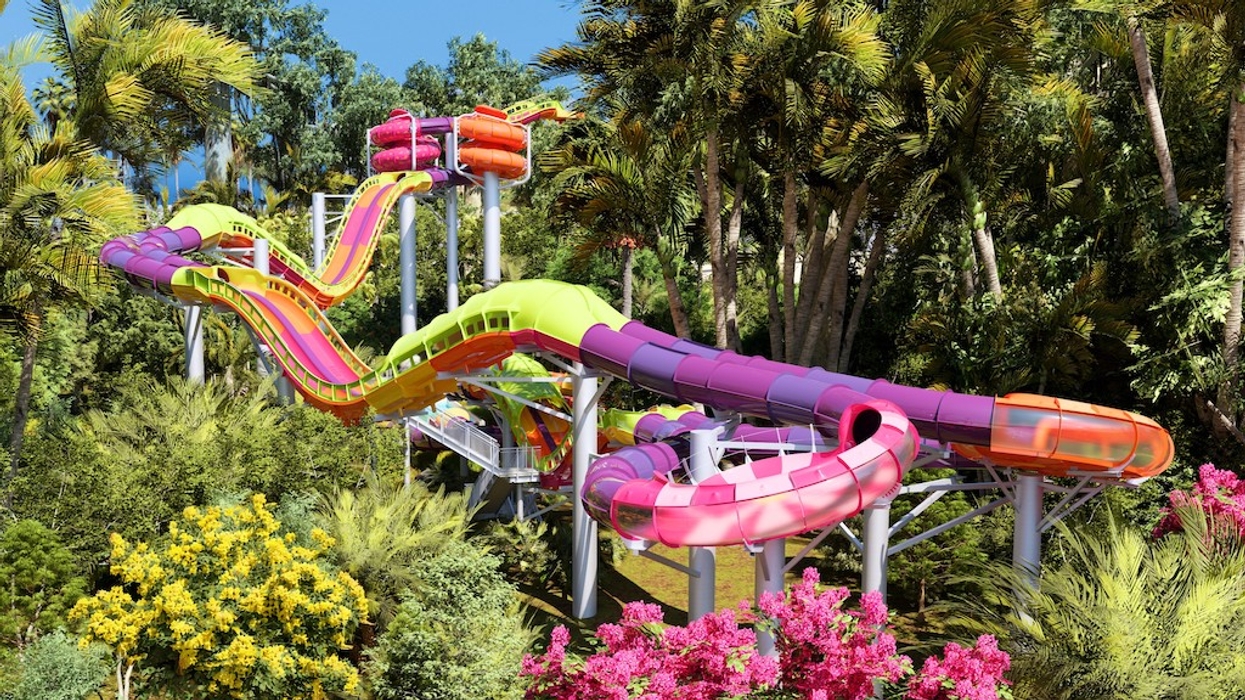 Colorful, winding water slide surrounded by lush tropical plants and trees.