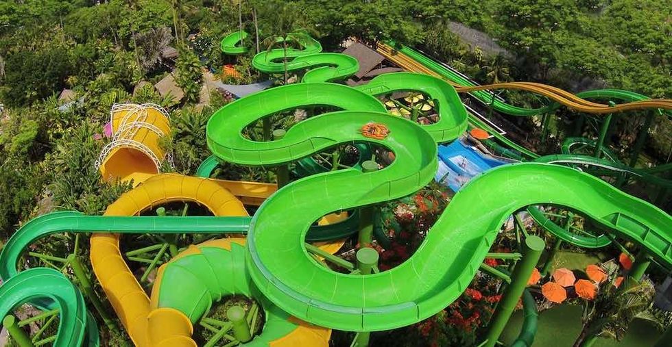 Colorful winding water slides amidst lush greenery in a vibrant water park.