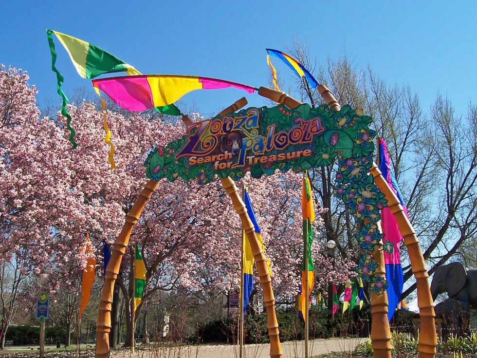 Colorful "Zoozapalooza" sign with flags and cherry blossoms in the background.