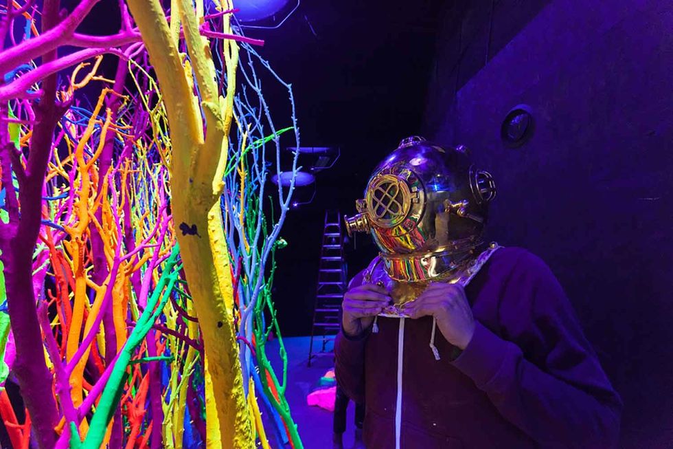Colour Diver Meow Wolf