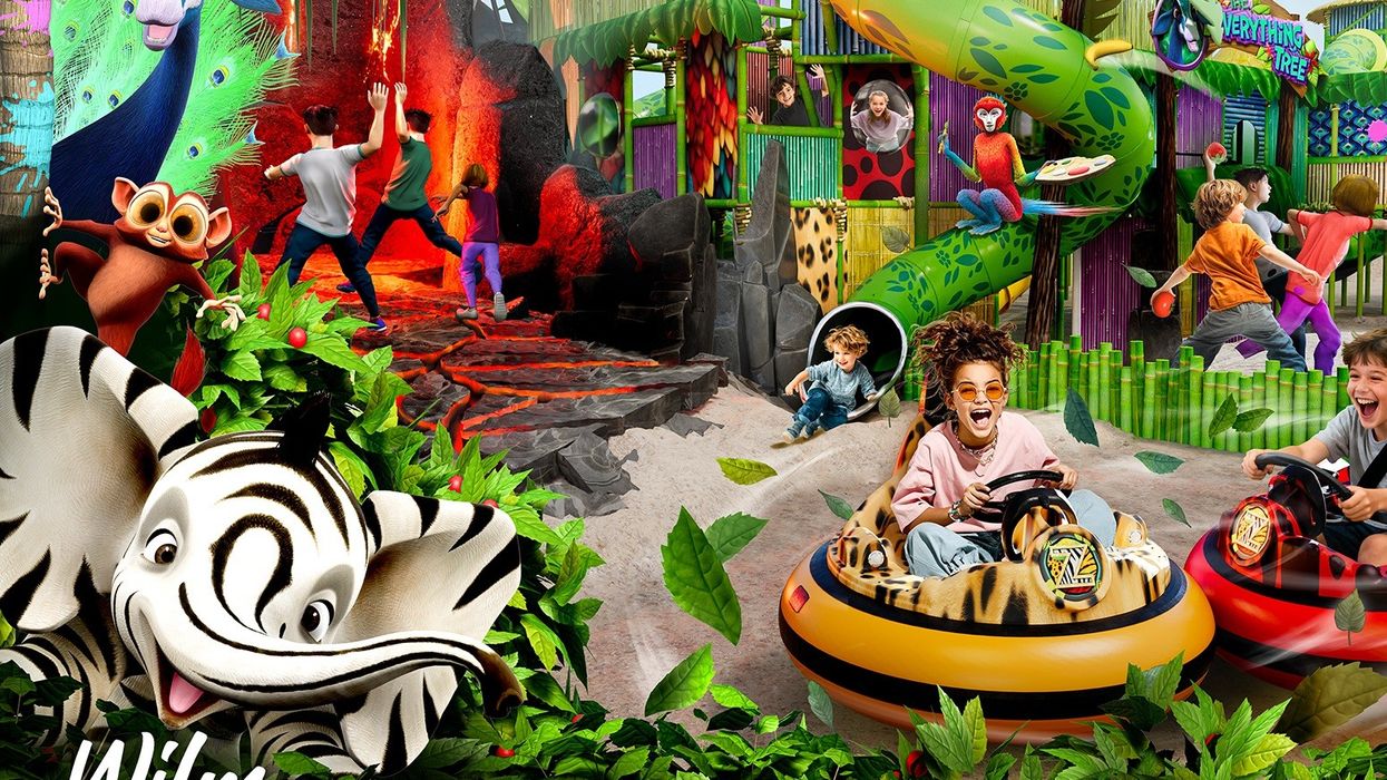 Colourful jungle-themed indoor playground with bumper cars and slides.