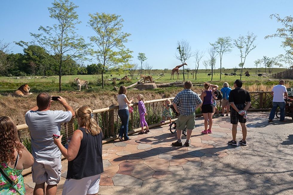 columbus-zoo-heart-of-africa