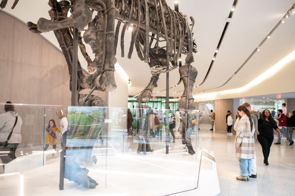 Communicating the arts CMNH Visitor Hall museum impact