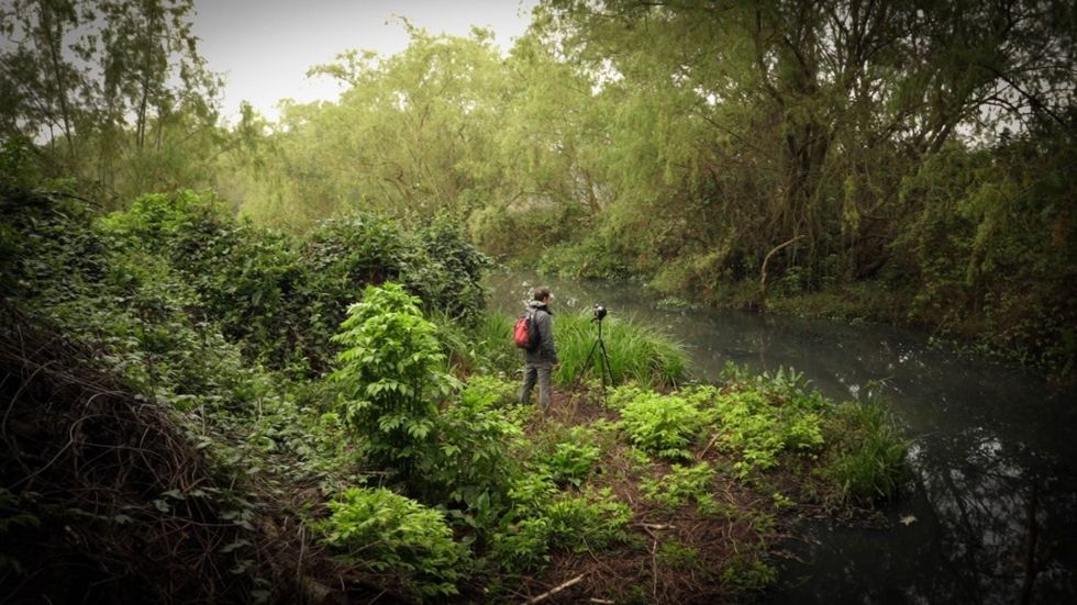 Communicating the arts UN Live VozTerra