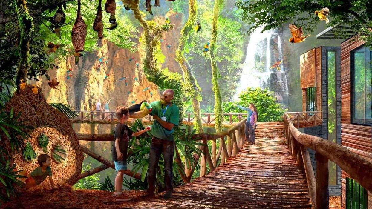 Concept art for World of Birds area at San Antonio Zoo