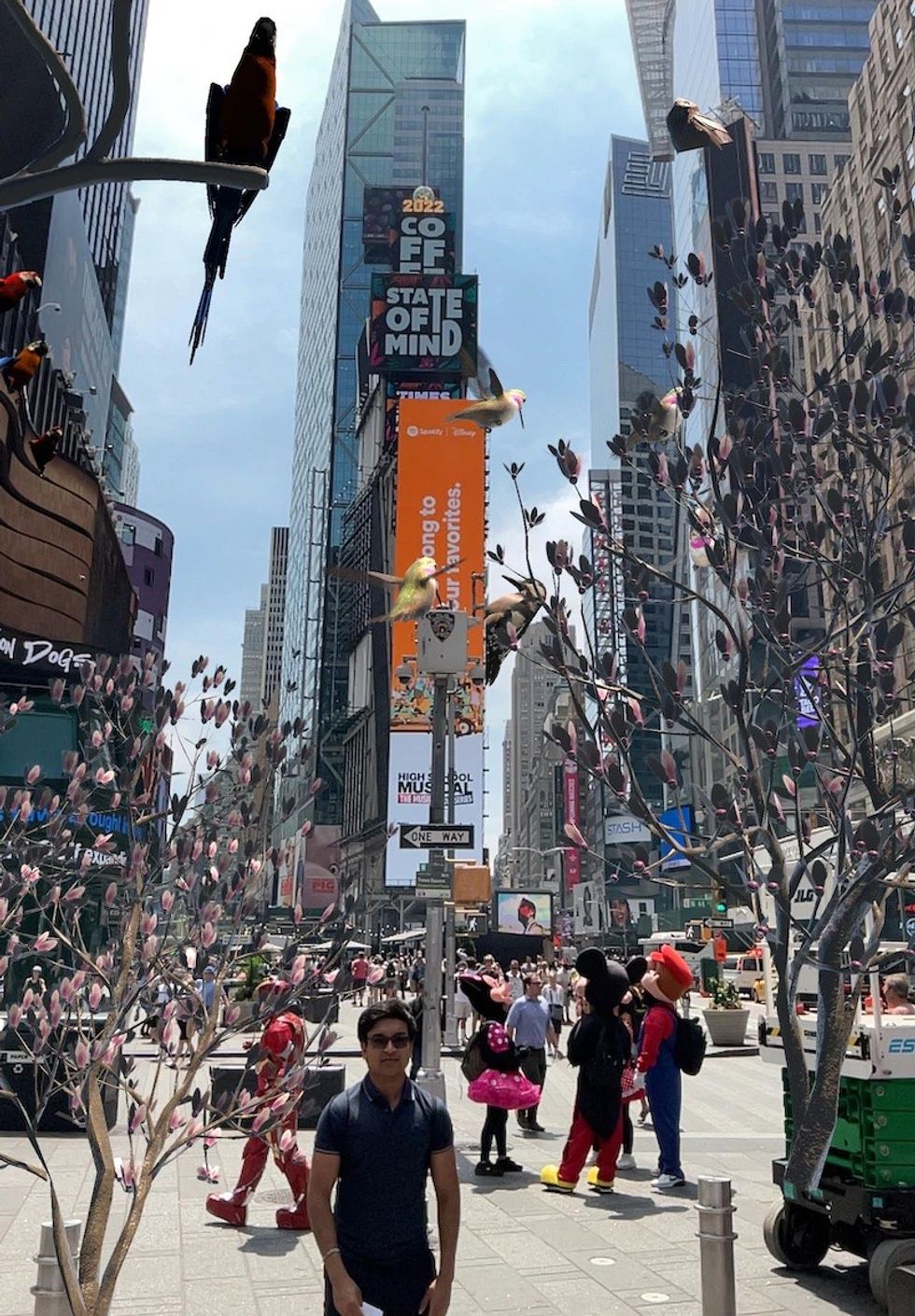 Concrete Jungle AR TimesSquare safari