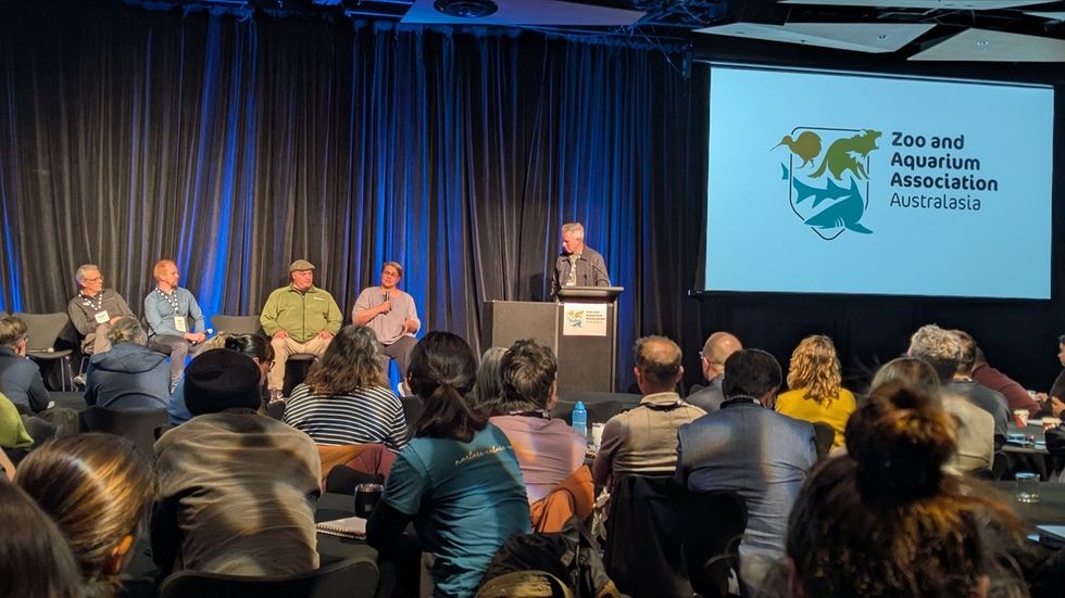 Conference panel discussion at Zoo and Aquarium Association Australasia event.
