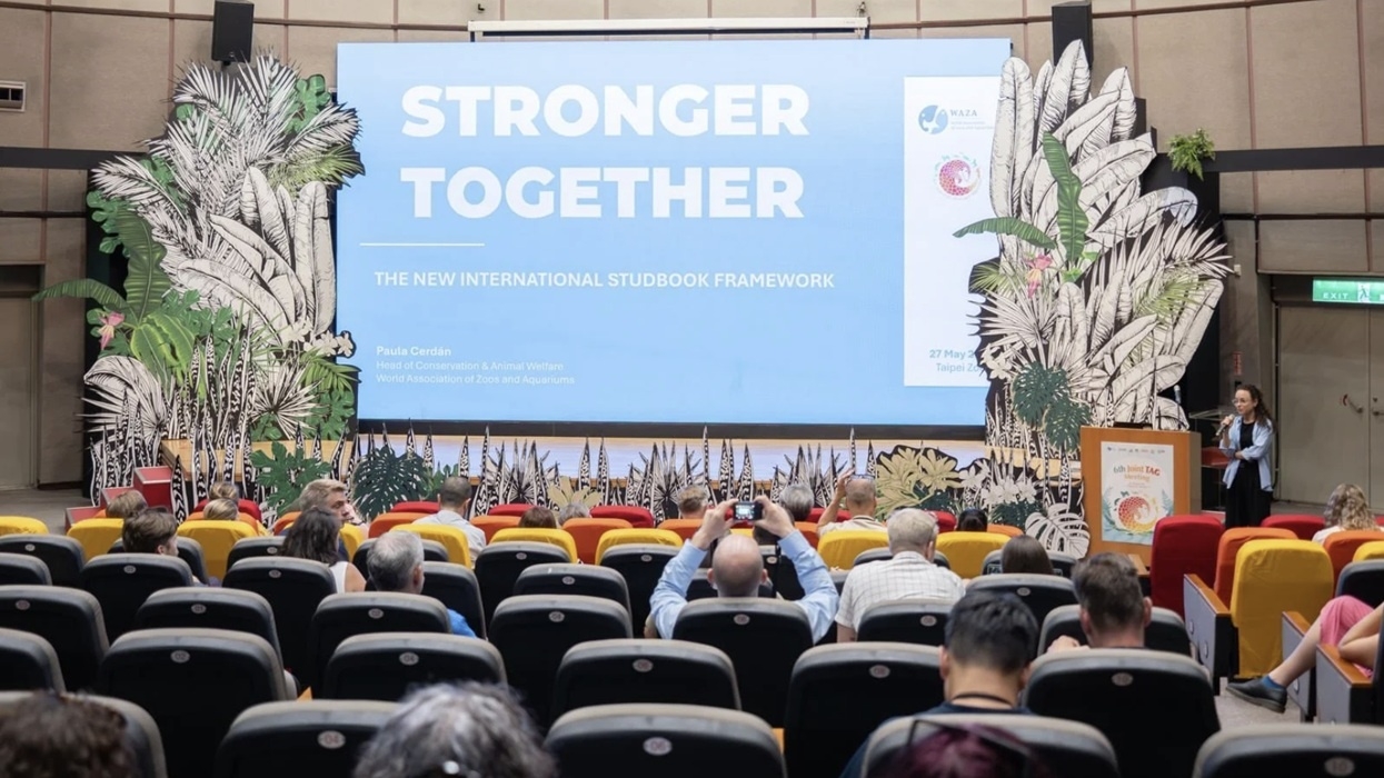 Conference room with "Stronger Together" presentation and botanical decorations.