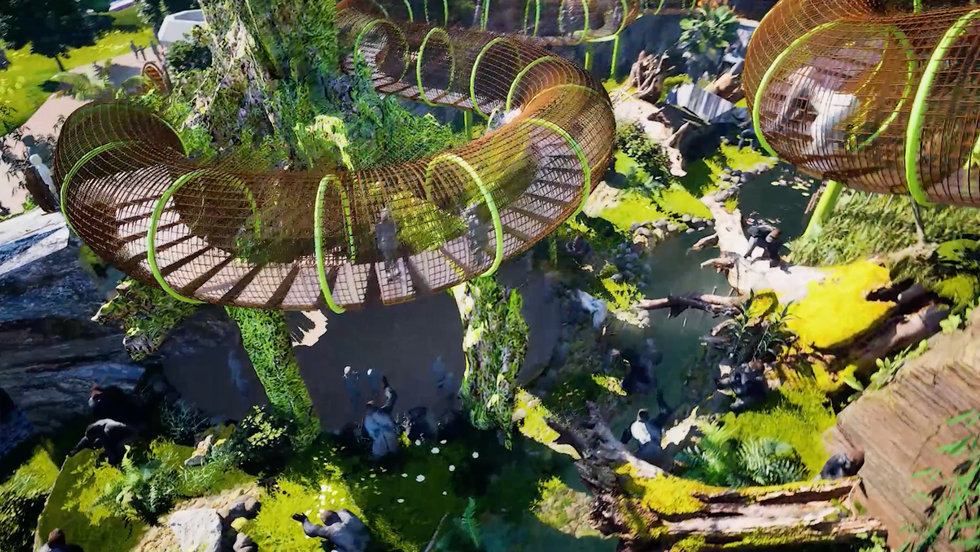 congo falls gorilla habitat san antonio zoo