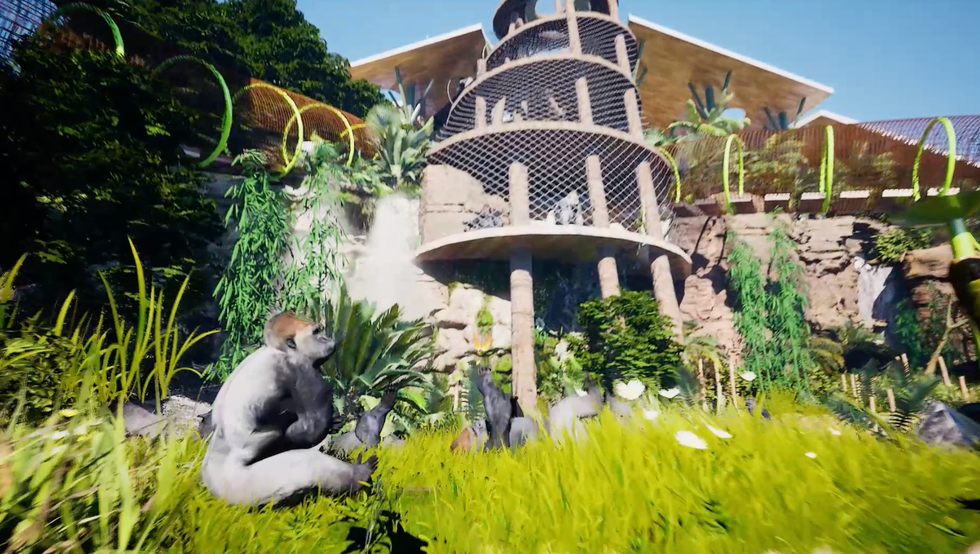congo falls gorilla habitat san antonio zoo