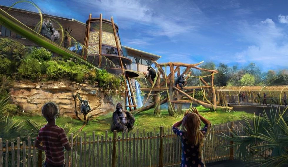 congo falls san antonio zoo