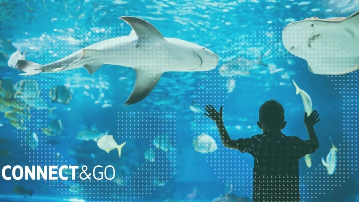 Connect&GO continues to expand in France