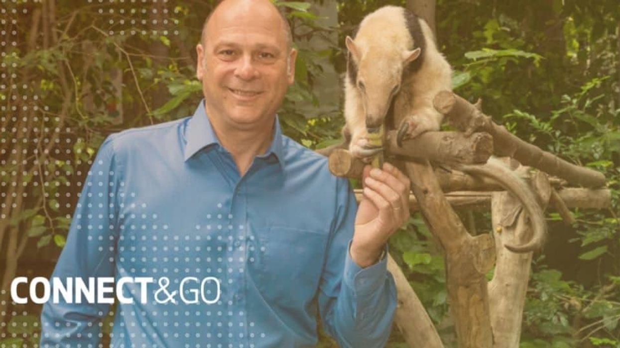 Connect&GO Ted Molter